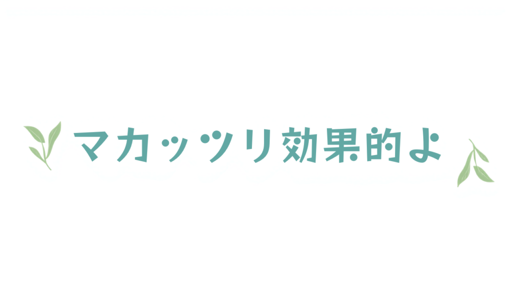 洗濯ネットの正しい使い方で衣類が長持ちする