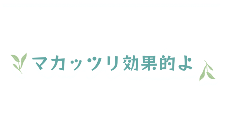 洗濯ネットの正しい使い方で衣類が長持ちする